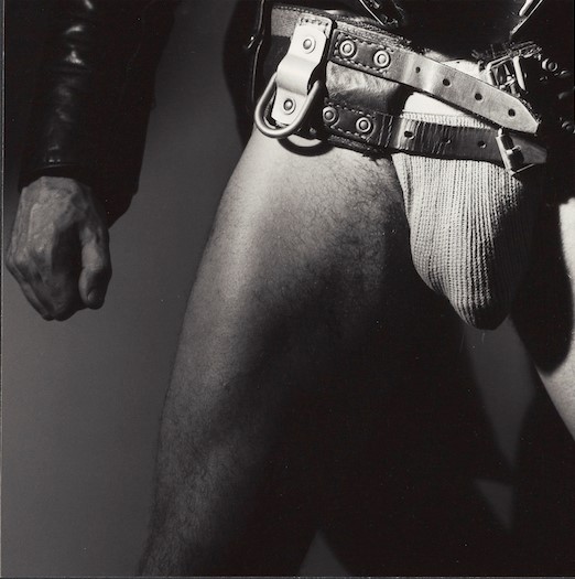 Aids Arte contemporanea Hiv fotografia X Portfolio Mapplethorpe